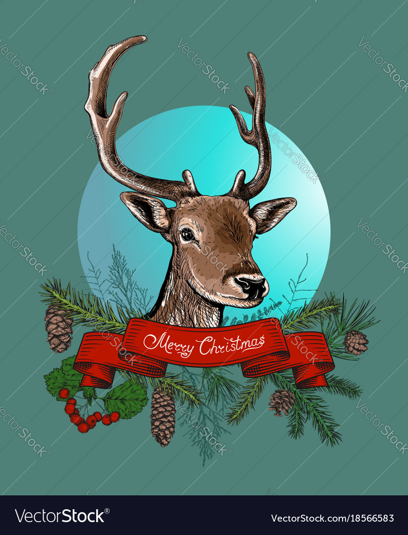 Hand Drawn Weihnachtsdeer Hintergrund