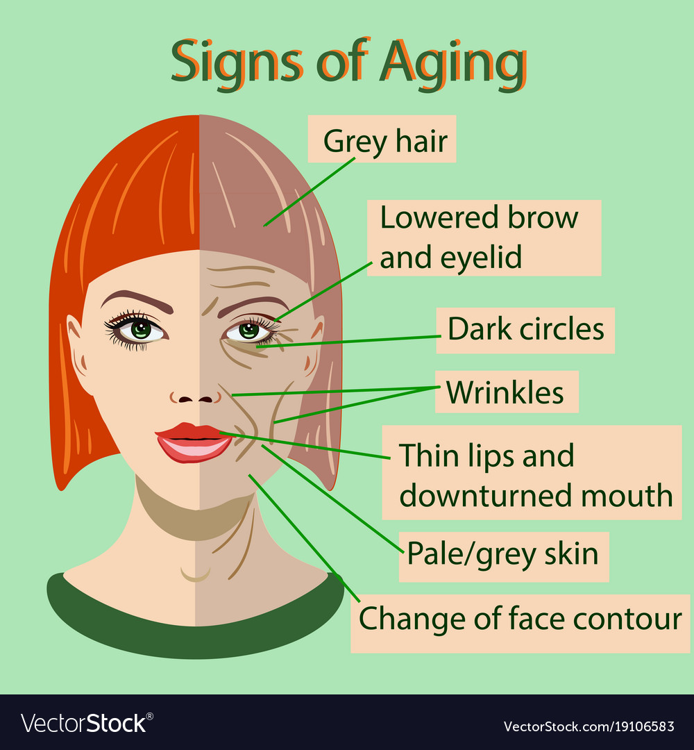 Sing of aging face with two types skin Royalty Free Vector