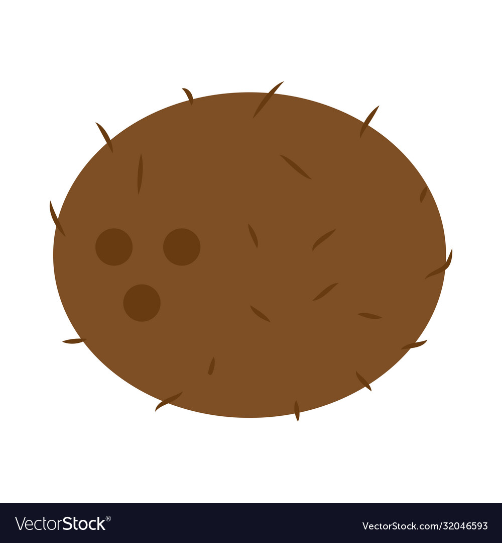 Coconut icon image flat style