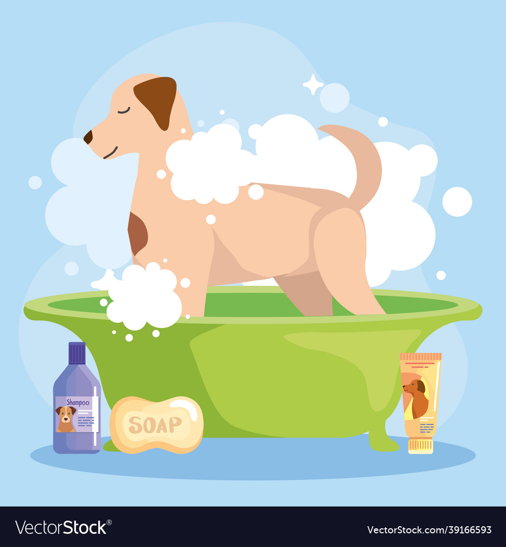 Dog washing with shampoo Royalty Free Vector Image