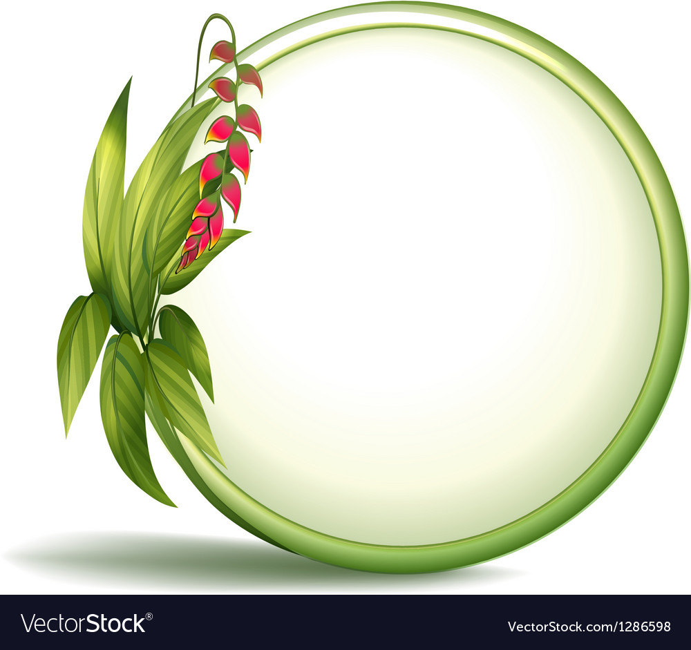 an-empty-circle-border-with-elongated-leaves-vector-image