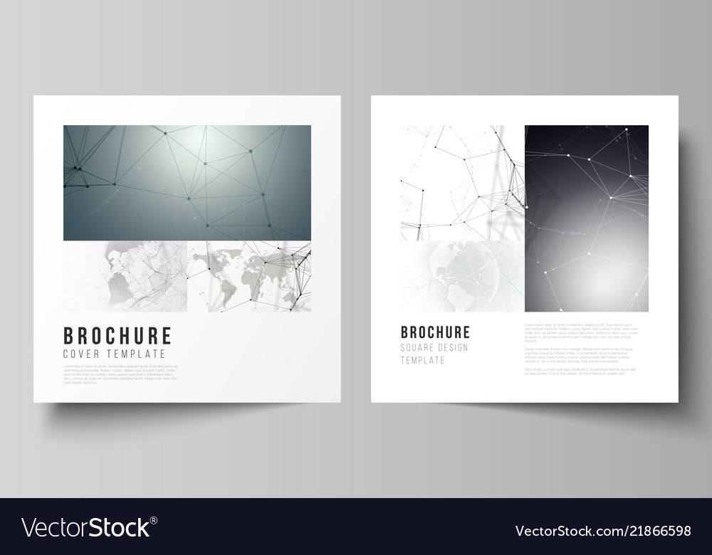 Layout Of Two Square Format Covers Design Vector Image