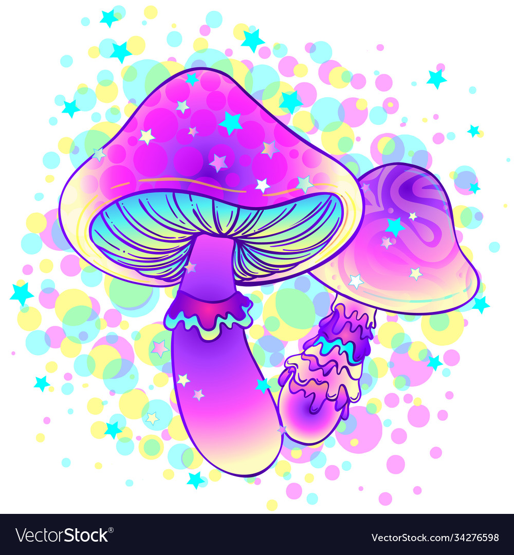 Magic mushrooms psychedelic hallucination