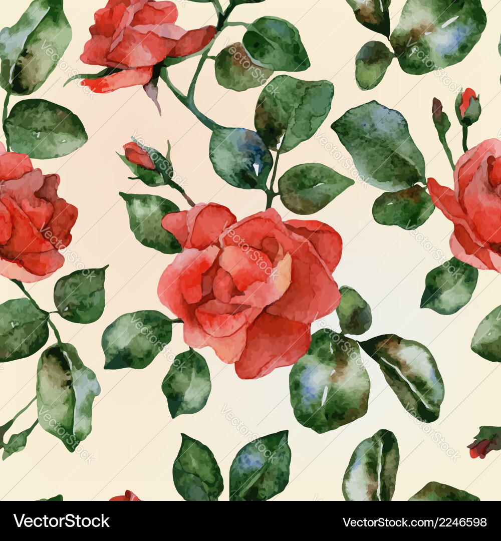 Roses Royalty Free Vector Image - VectorStock