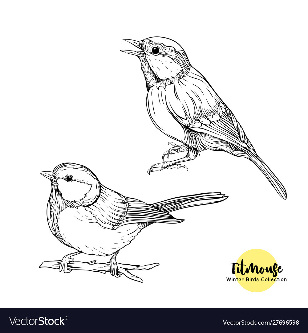 Tit birds - a symbol winter set elements Vector Image Tit birds - a symbol winter set elements