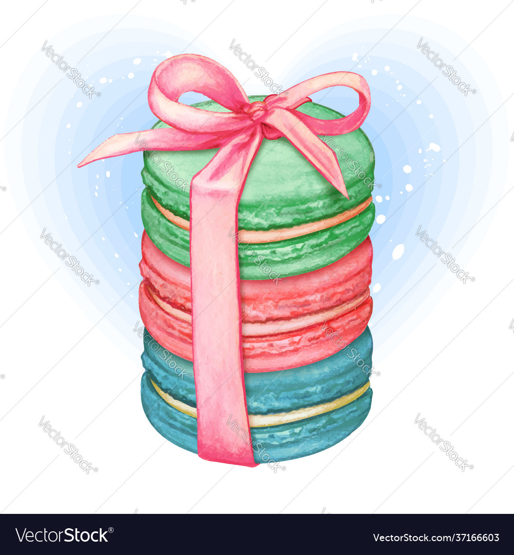 Cute watercolor pastel macarons vector image Cute watercolor pastel macarons