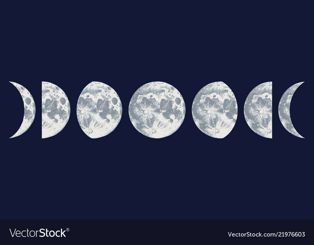 moon-phases-royalty-free-vector-image-vectorstock