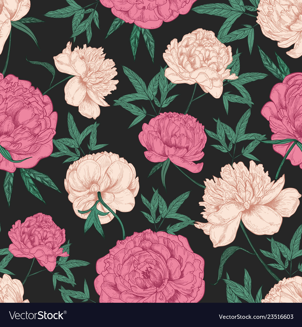 Peony Floral Seamless Pattern