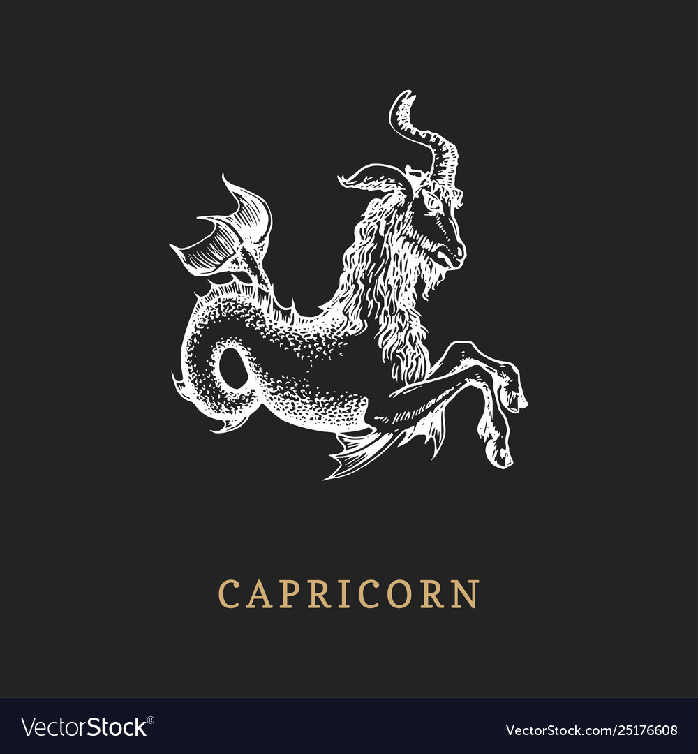Capricorn Zodiac Symbol Hand Drawn In Engraving Vector Image