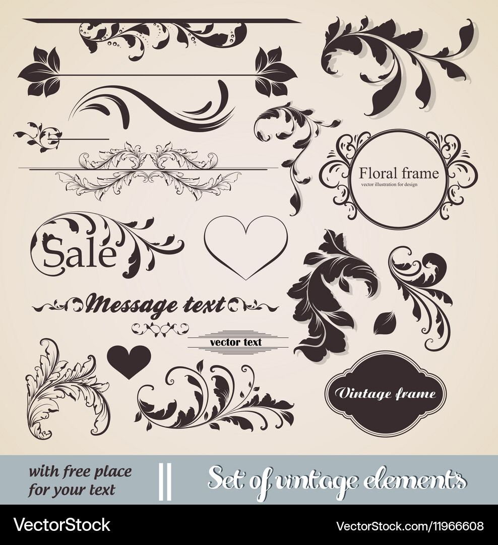 Vintage Calligraphic Elements Royalty Free Vector Image