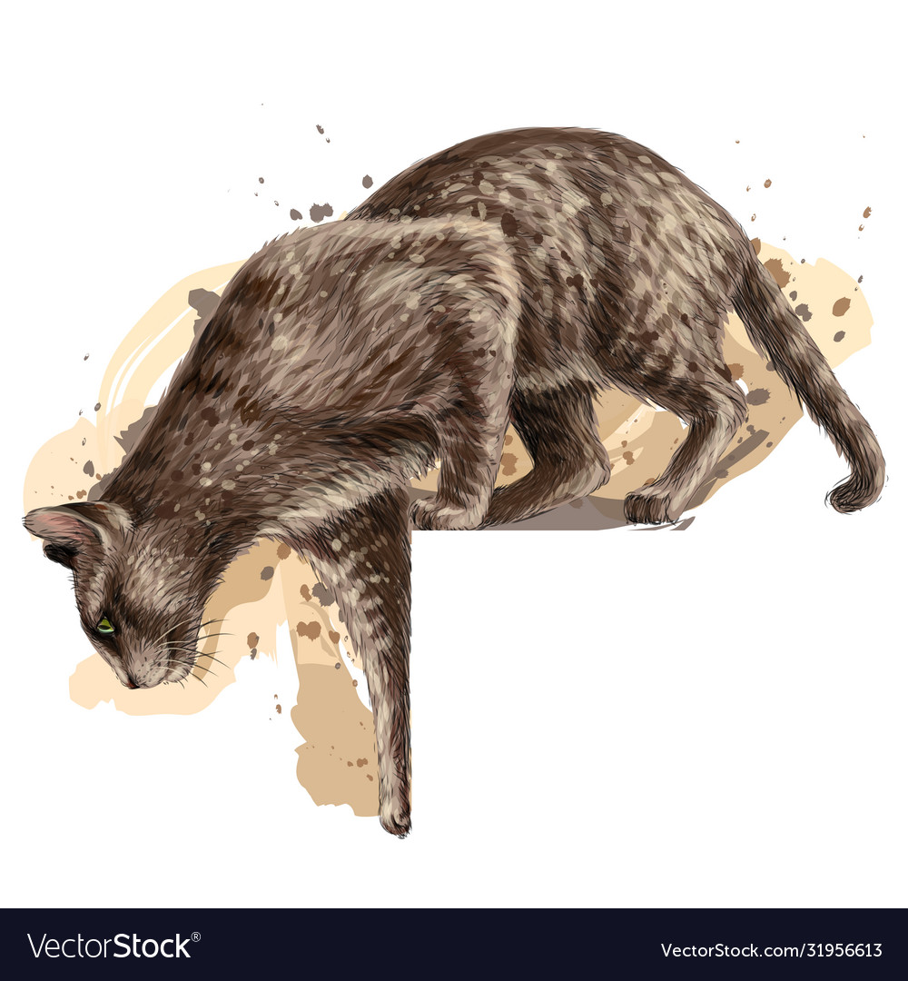 Jumping Cat Vinyl Sticker