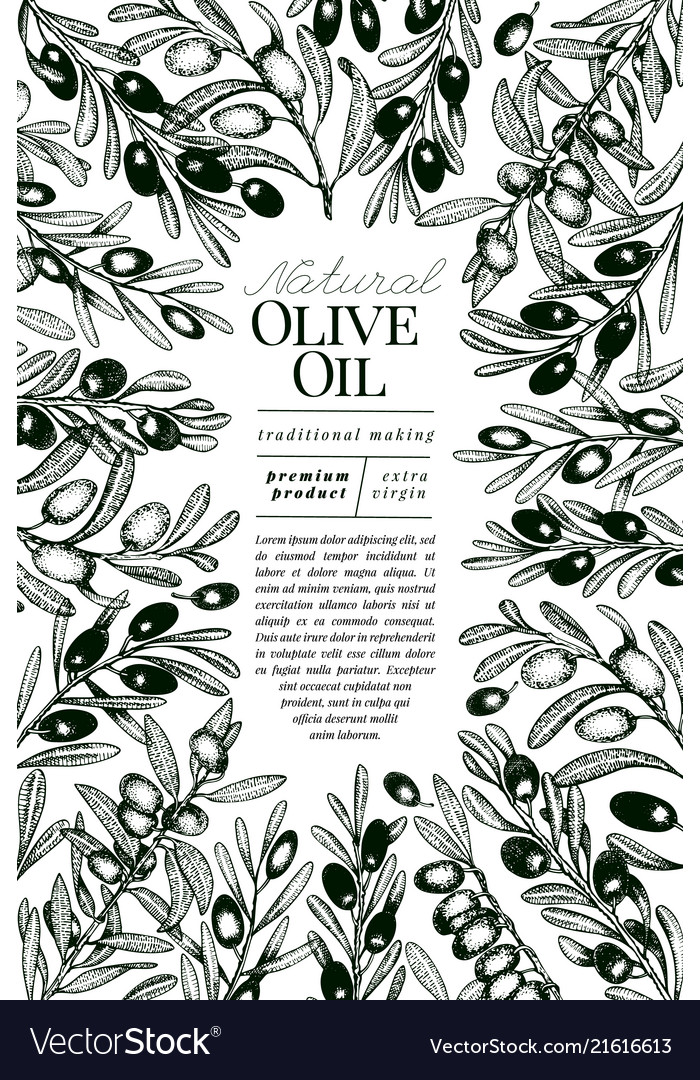 Olive Tree Banner Template Vintage Royalty Free Vector Image