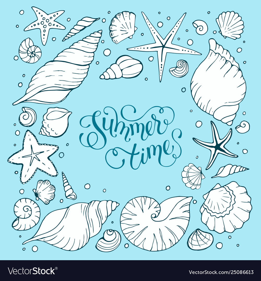 Sea Shells Royalty Free Vector Image Vectorstock Sea Shells Royalty Free Vector Image Vectorstock