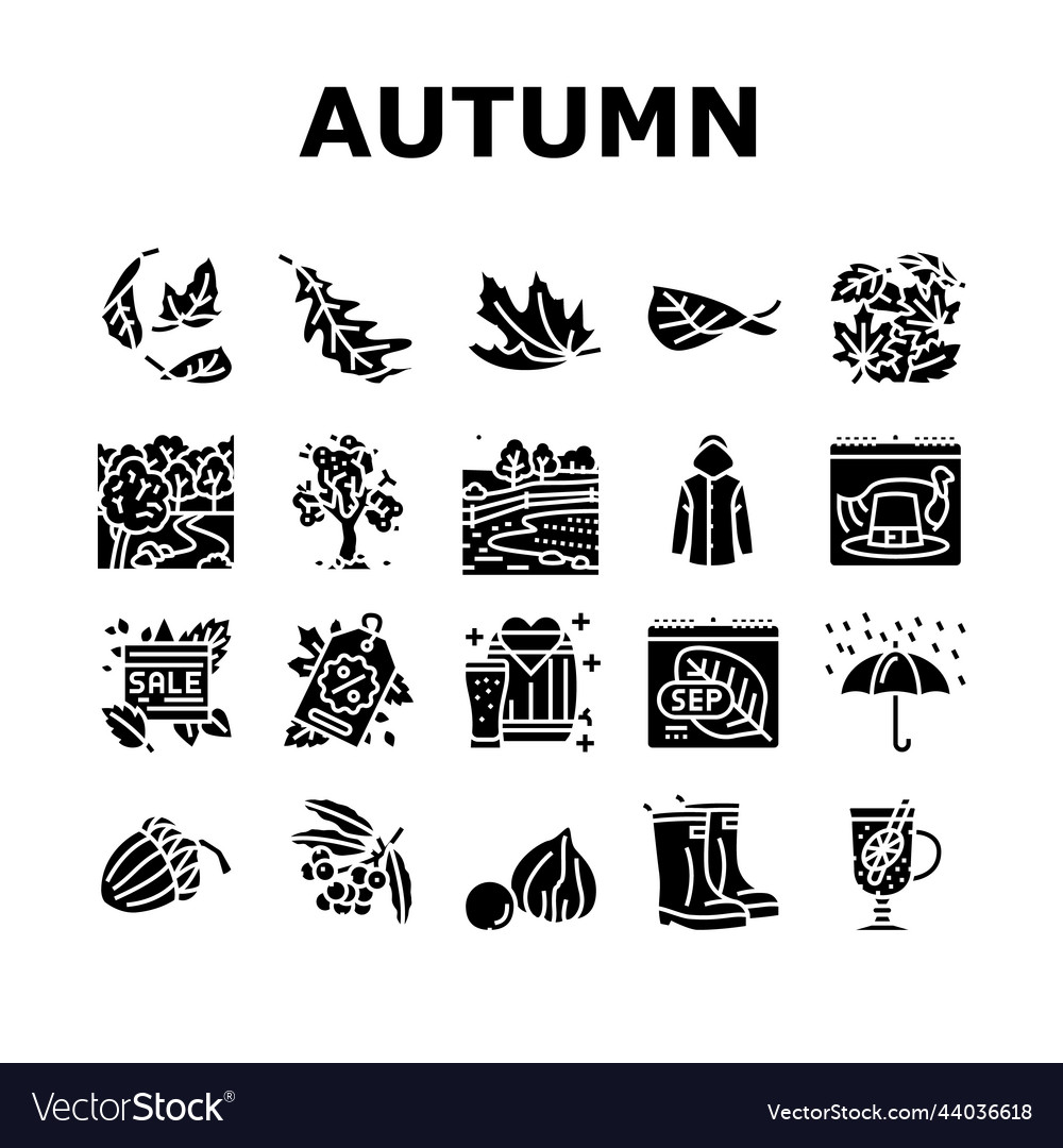 Autumn fall leaf nature season icons set Vector Image