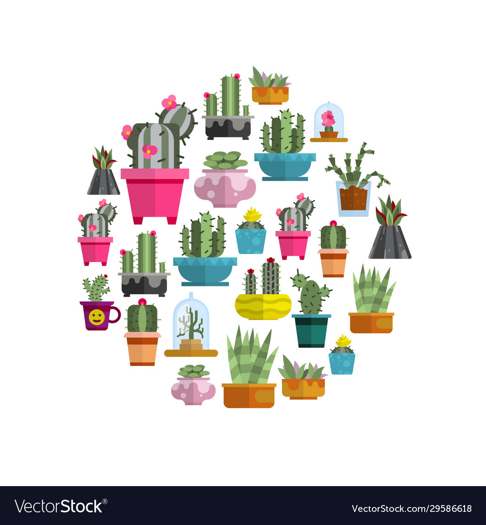 Cartoon cactuses and succulents in circle on white