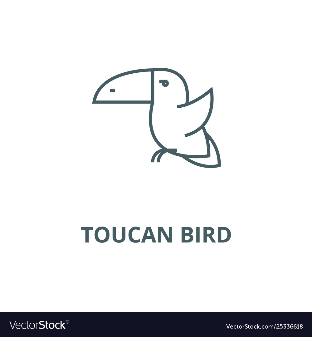 Toucan bird line icon linear concept Vector Image Toucan bird line icon linear concept