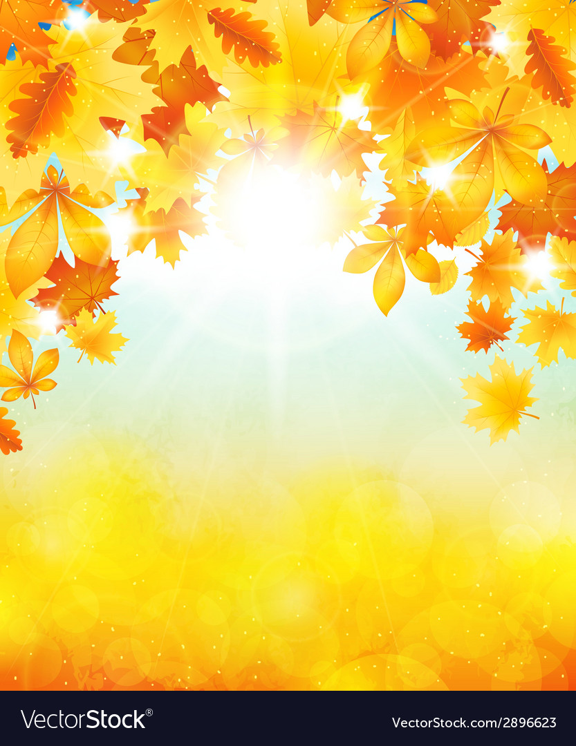 Autumn sun Royalty Free Vector Image - VectorStock