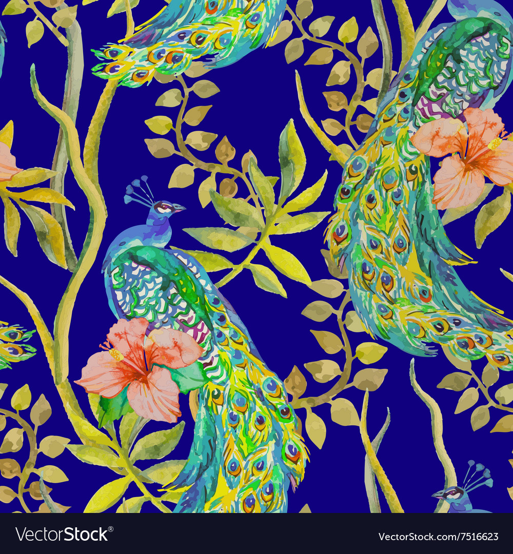 Beautiful peacock pattern Peacocks and Royalty Free Vector