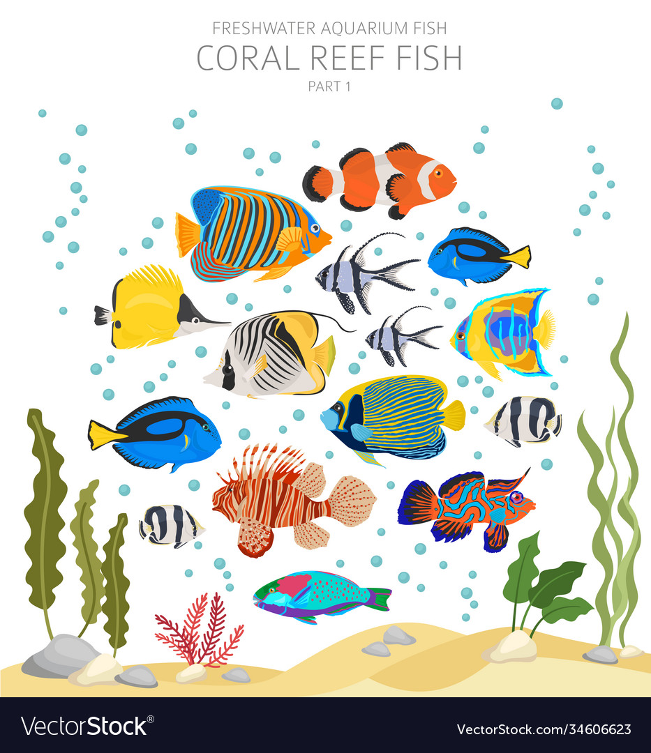 Coral reef fish freshwater aquarium icon set