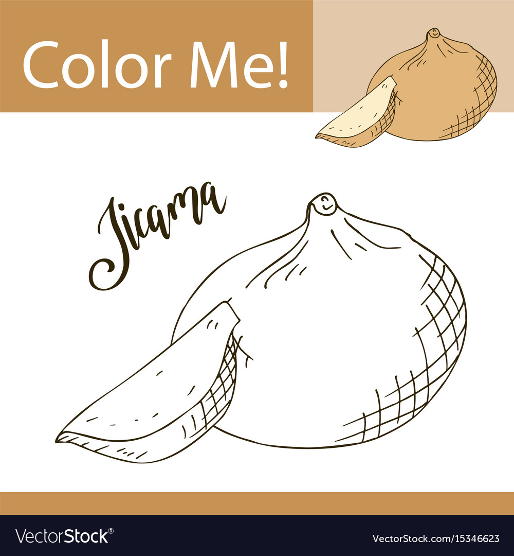 Education coloring page with vegetable hand drawn