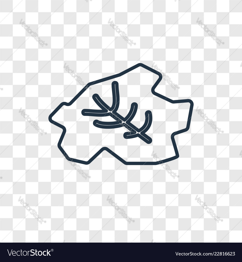 Fossil concept linear icon isolated vector image Fossil concept linear icon isolated