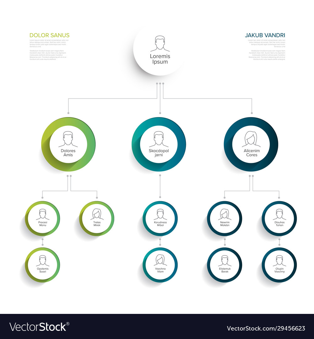Minimalist hierarchy chart template vector image Minimalist hierarchy chart template