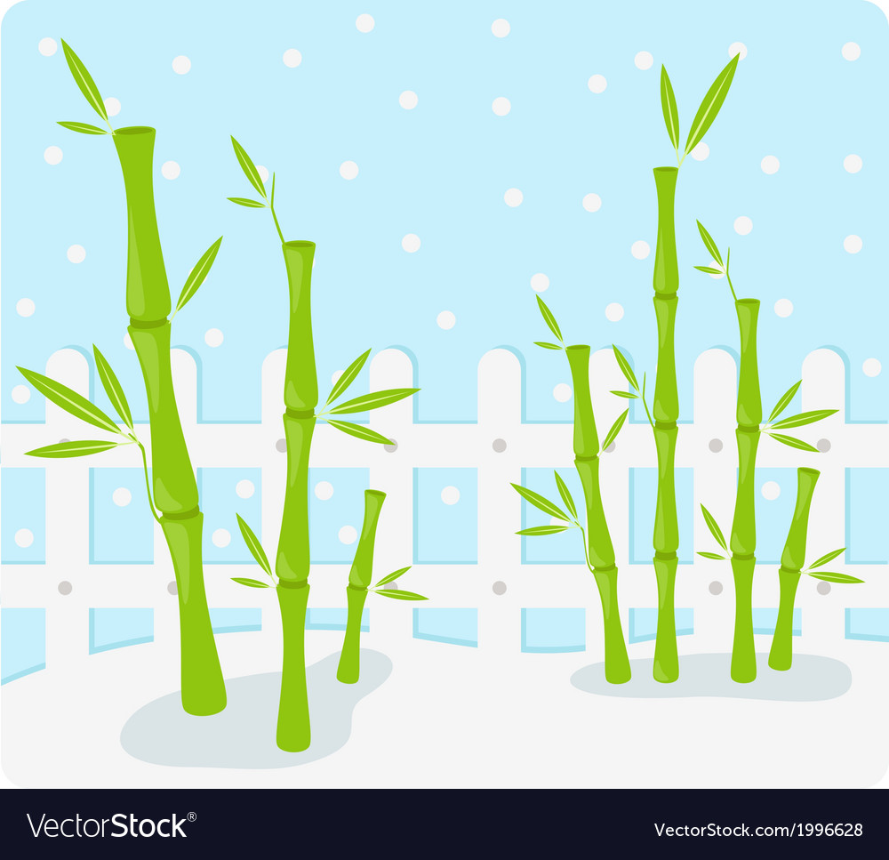 Bamboo background Royalty Free Vector Image - VectorStock