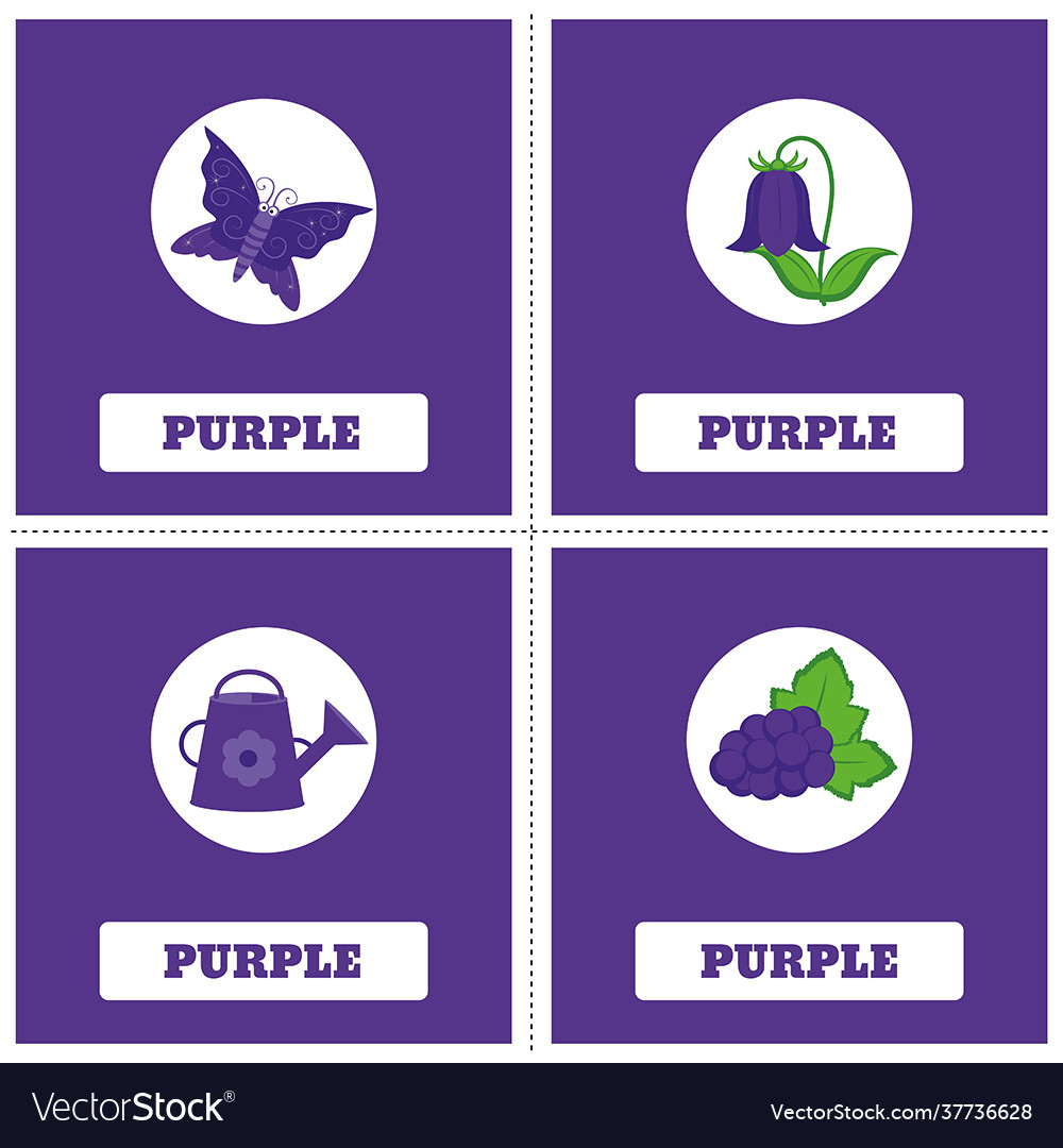 Learn color vector image Learn color