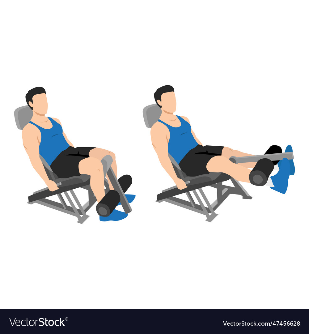 Man doing seated machine leg extensions exercise Vector Image