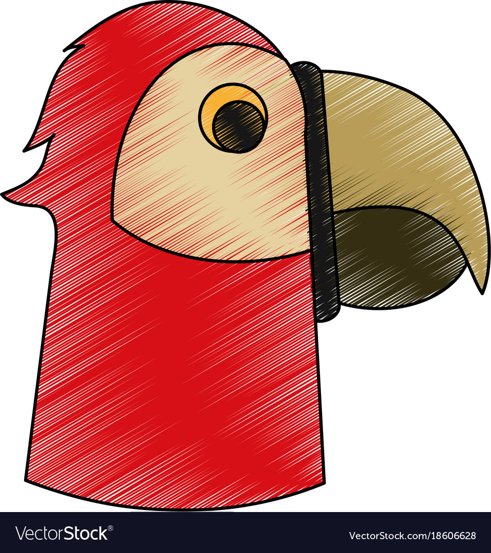 Parrot head cartoon Royalty Free Vector Image - VectorStock