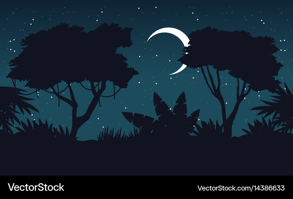 At night jungle scenery silhouette theme Vector Image