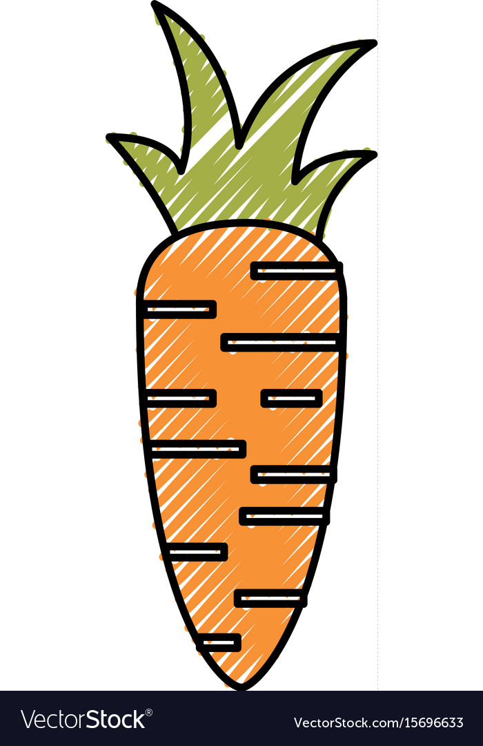 Fresh carrot isolated icon