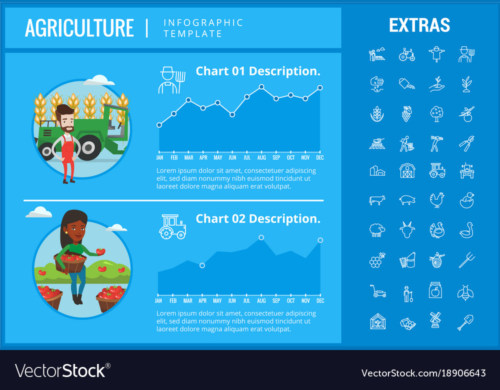 Agriculture Infographic Template Elements Icons Vector Image