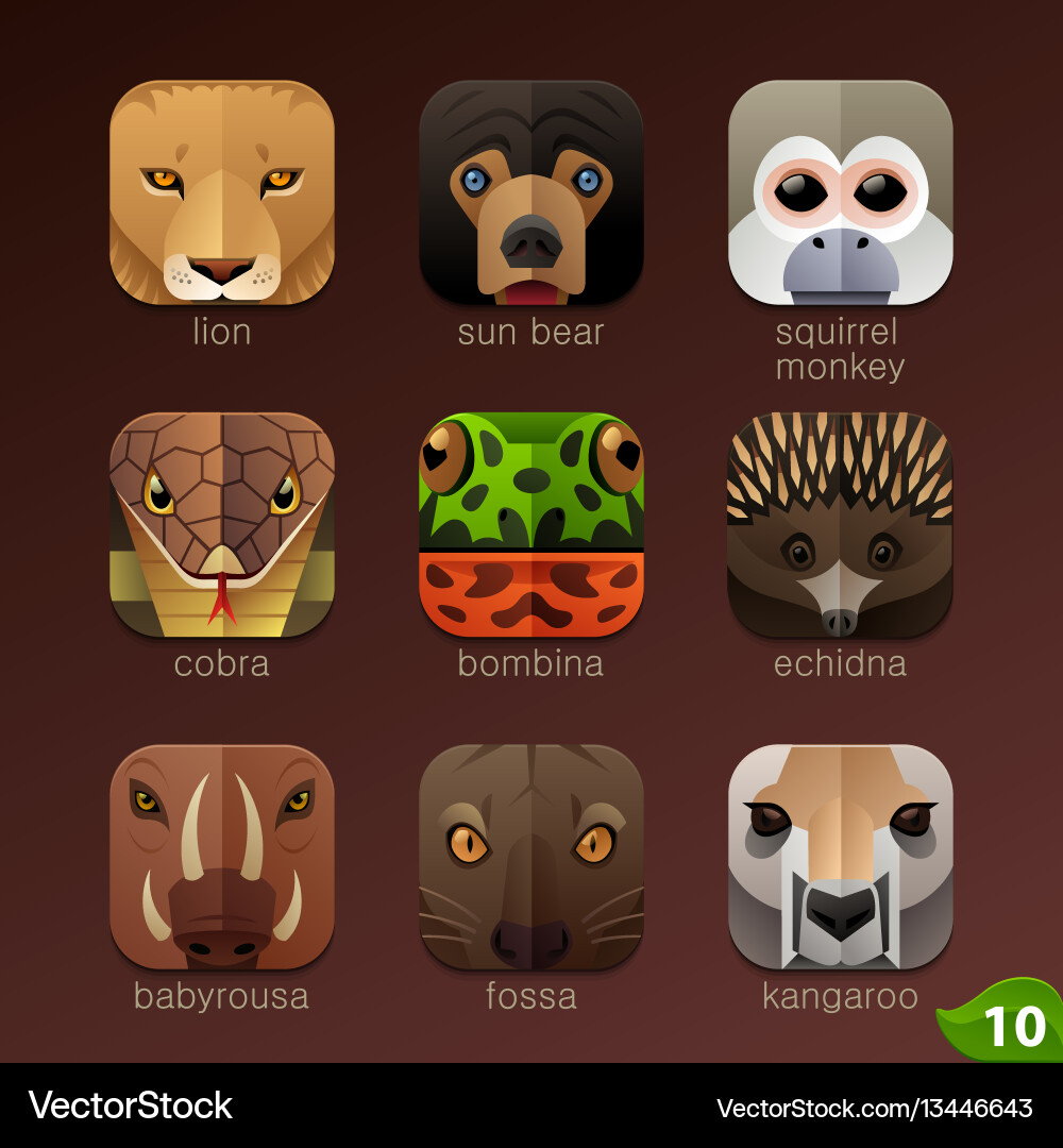 Animal faces for app iconsset 10 Royalty Free Vector Image