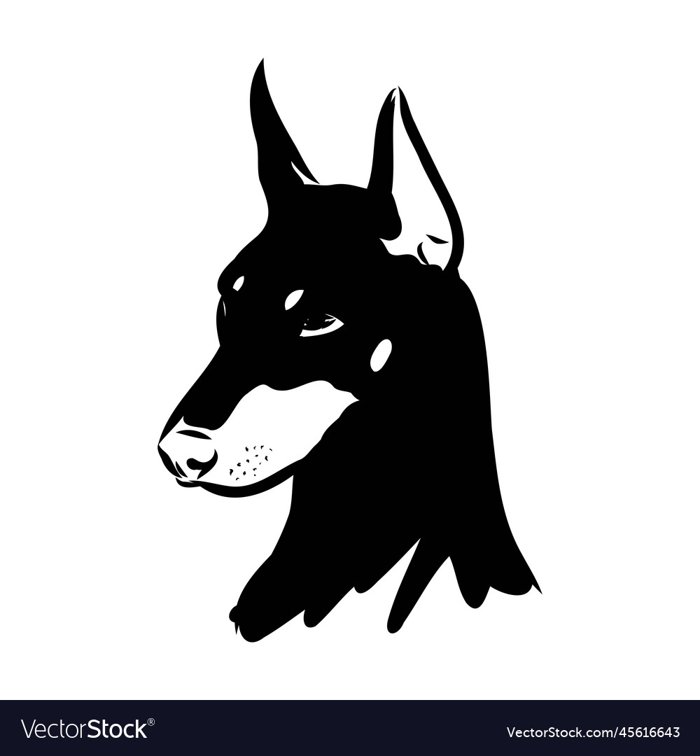 Doberman Dog Black And White Portrait The Head Vector Image