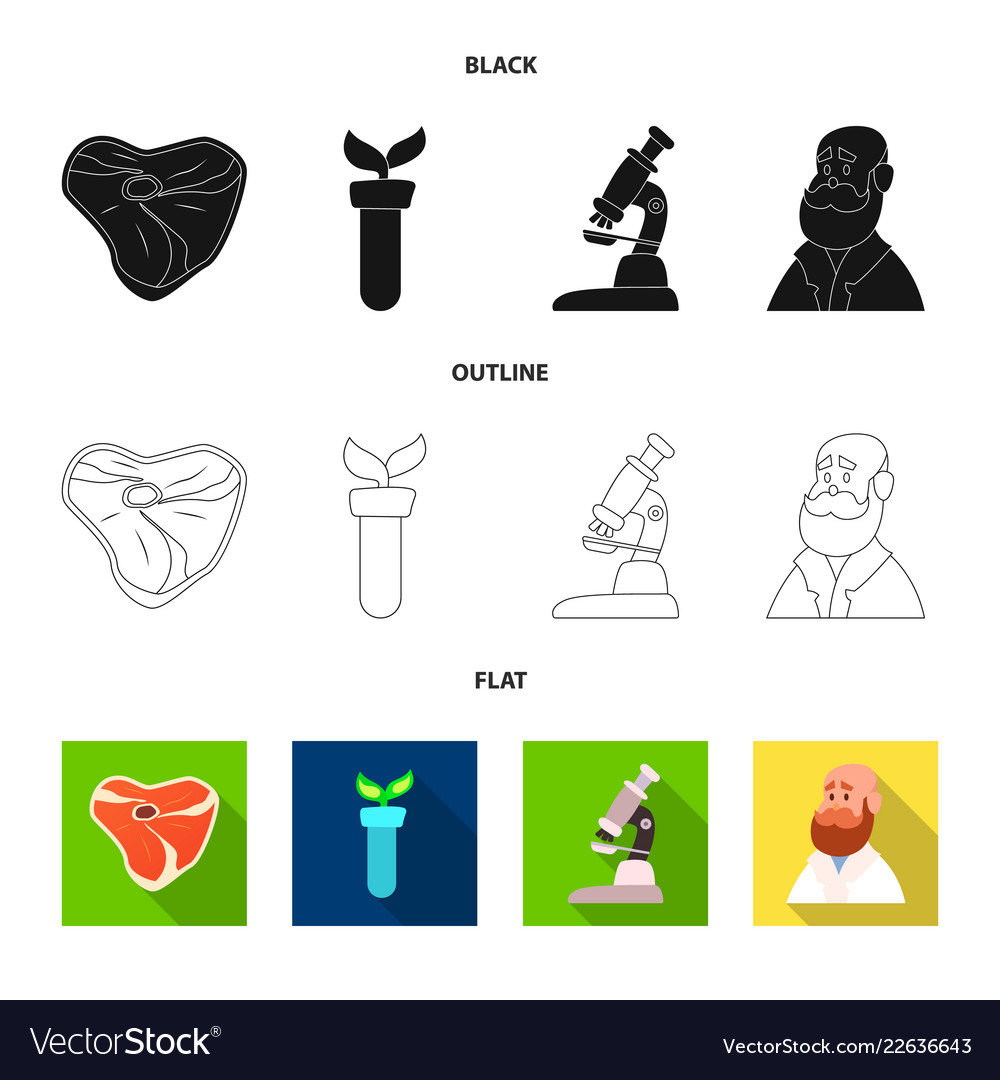 Isolated object of and icon set s vector image Isolated object of and icon set s