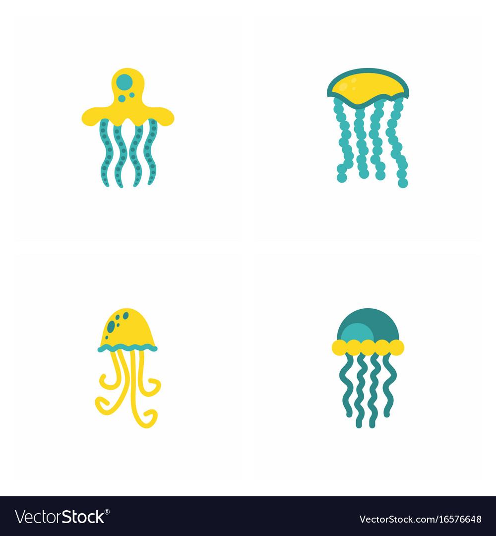 Jellyfish stock collection