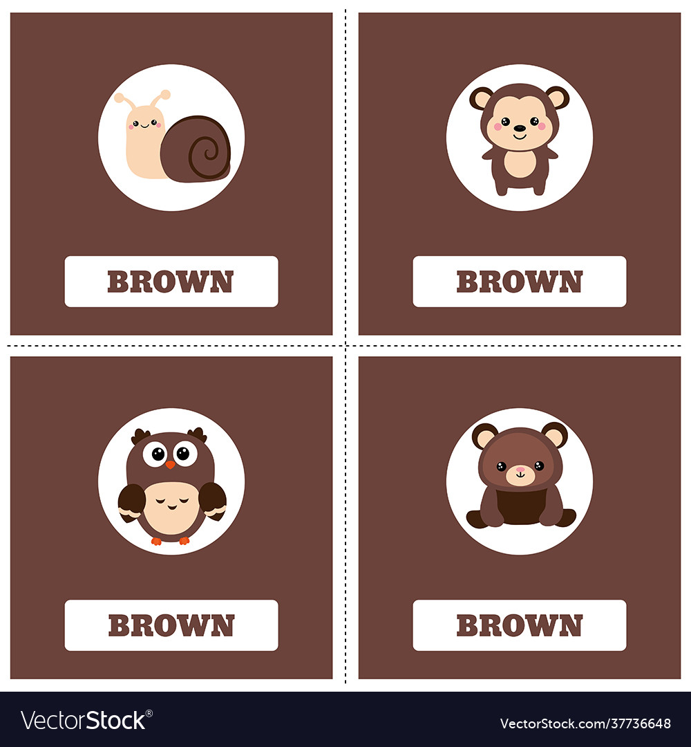 Learn color vector image Learn color