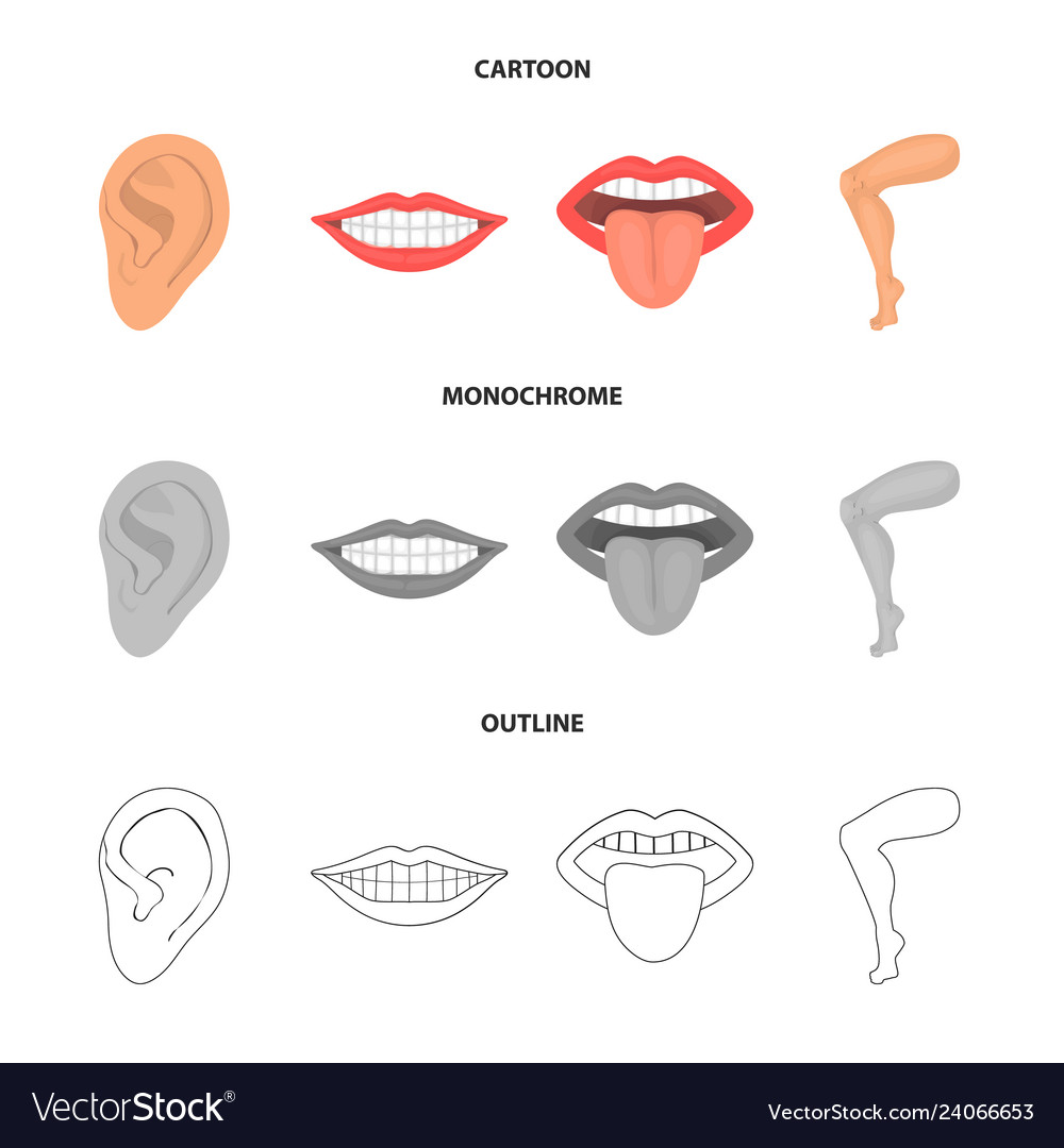 Design of body and part icon set vector image Design of body and part icon set