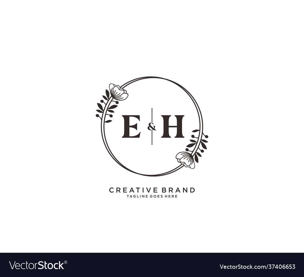 Initial eh letters hand drawn feminine and floral