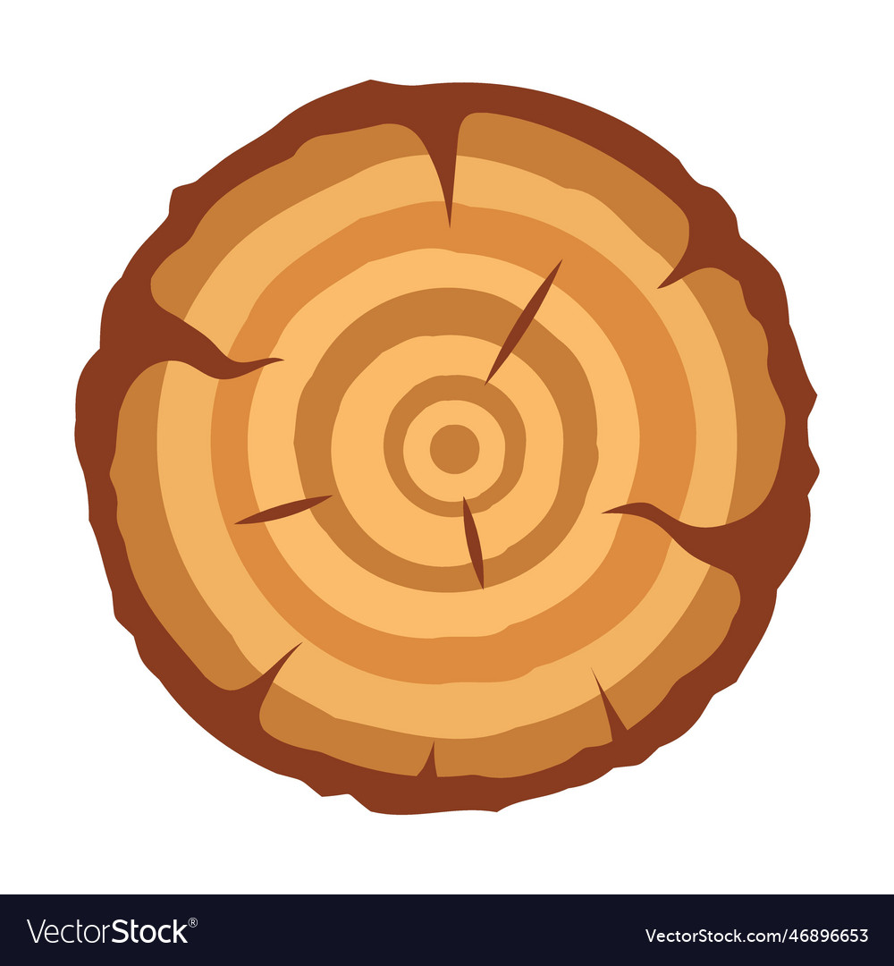 Tree slice with annual rings stack of trees