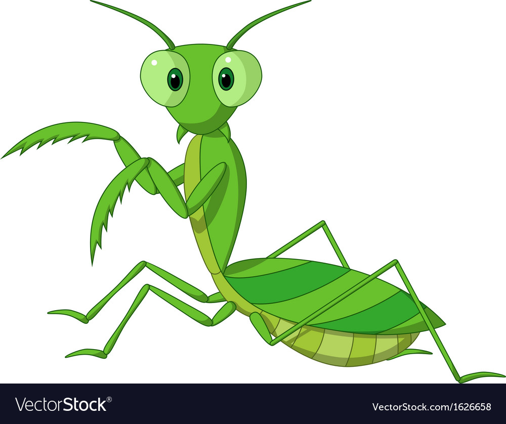 Cute praying mantis cartoon Royalty Free Vector Image