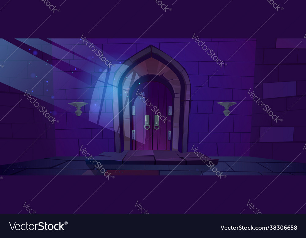 Dungeon medieval castle night interior vector image Dungeon medieval castle night interior
