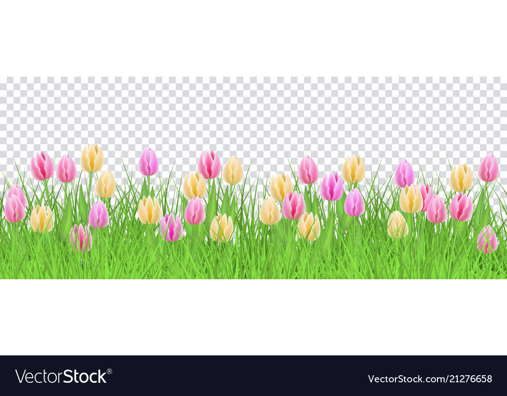 Green grass tulip flowers border frame