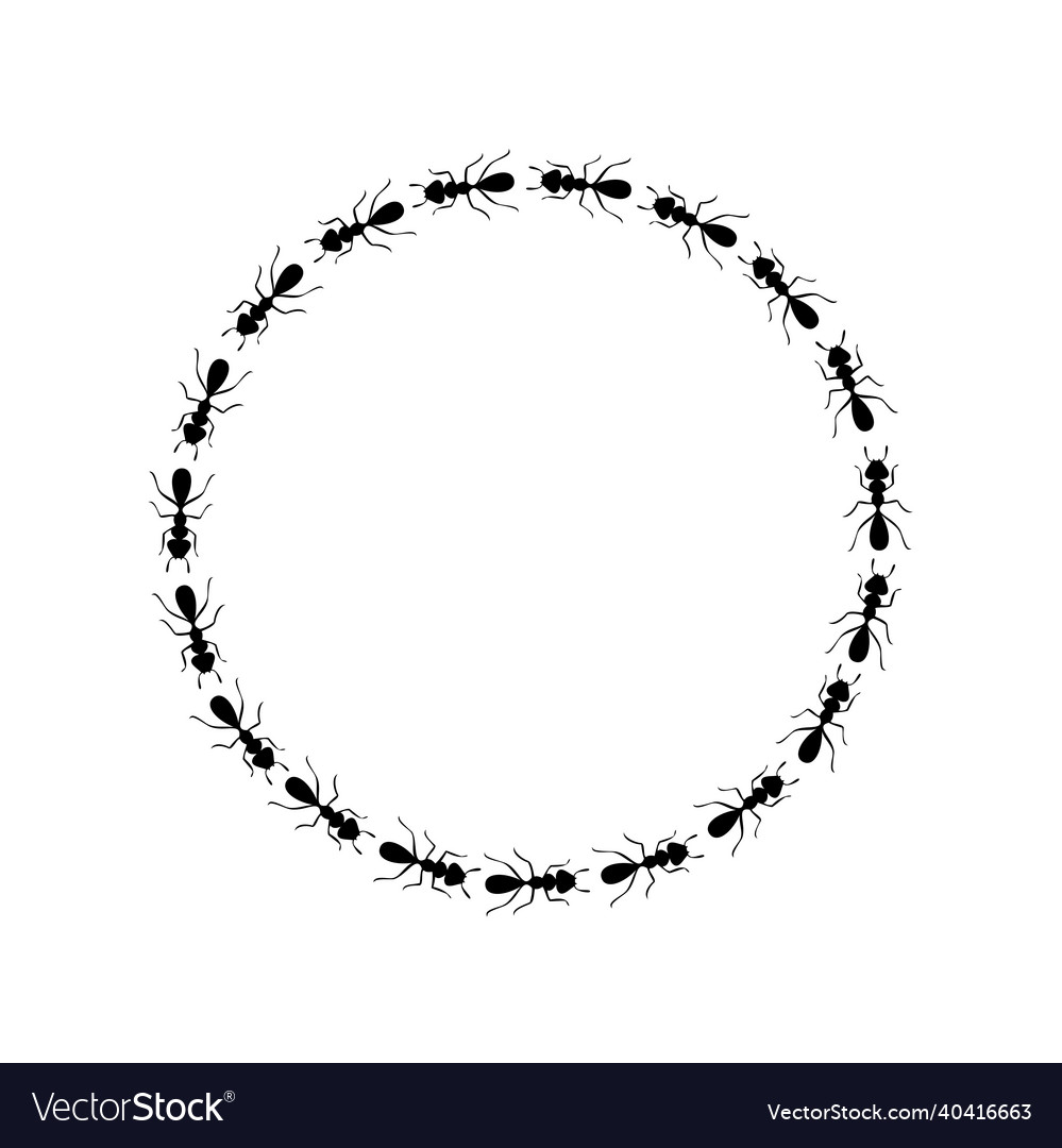 Ants circle border forming round shape