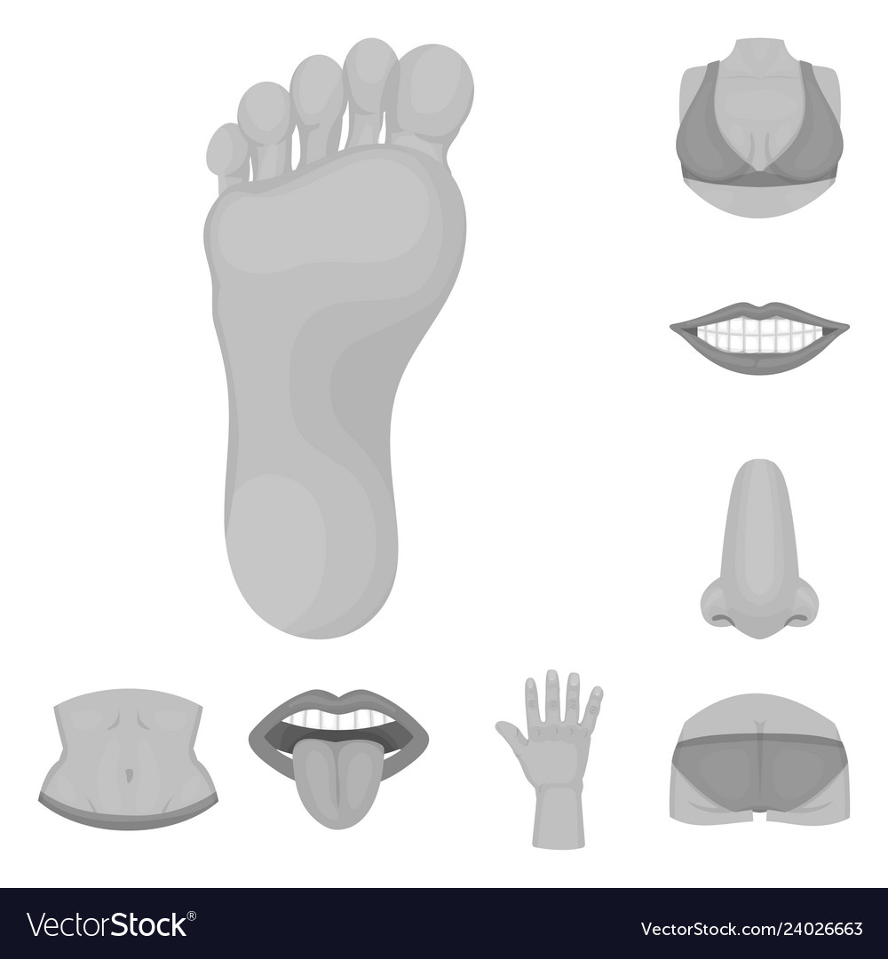 Isolated object of body and part symbol set vector image Isolated object of body and part symbol set