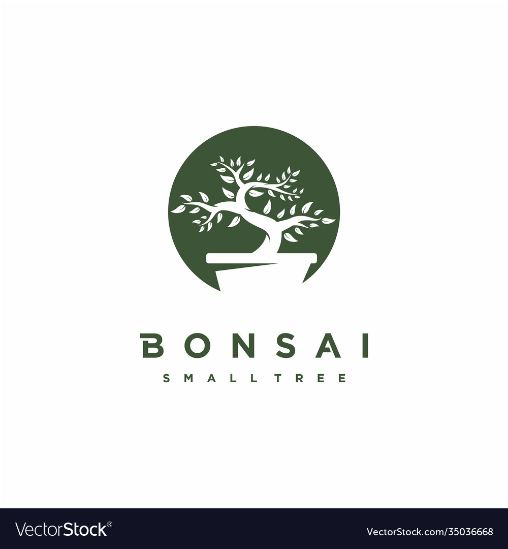 Bonsai logo design japanese mini small plant tree Vector Image