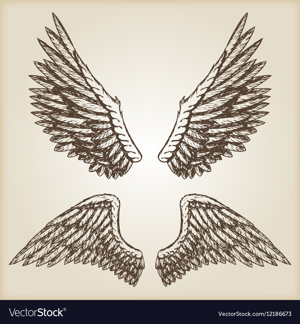 Hand drawn vintage Royalty Free Vector Image - VectorStock