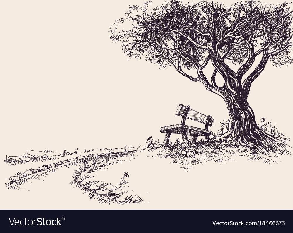 Park Bench From Behind Drawing | Best Image Car Ever