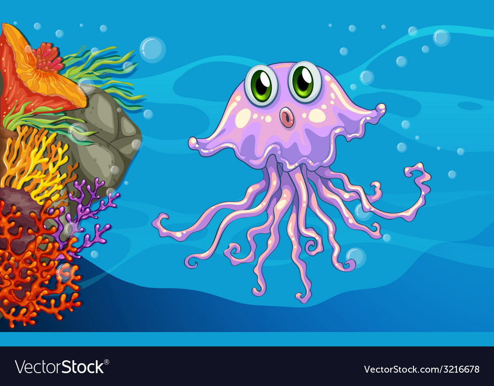 Jelly fish Royalty Free Vector Image - VectorStock